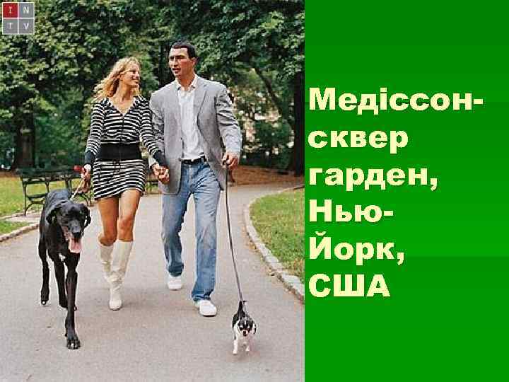 Медіссон- сквер гарден, Нью- Йорк, США Медіссон- сквер гарден, Нью- Йорк, США