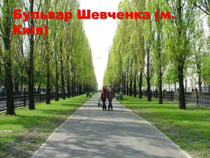 Бульвар Шевченка (м. Київ) Бульвар Шевченка (м. Київ)