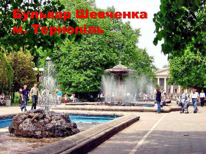 Бульвар Шевченка м. Тернопіль Бульвар Шевченка м. Тернопіль