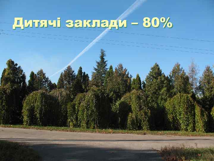 Дитячі заклади – 80% Дитячі заклади – 80%