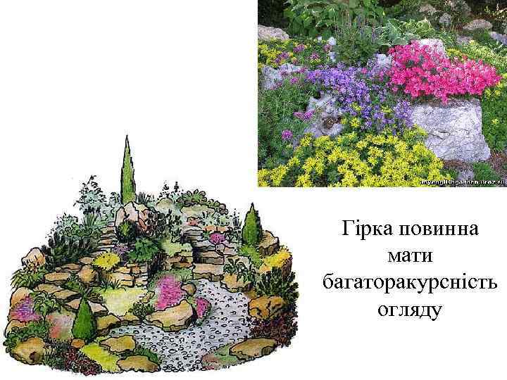  Гірка повинна  мати багаторакурсність  огляду 