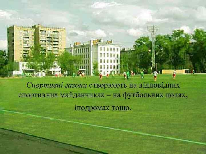  Спортивні газони створюють на відповідних спортивних майданчиках – на футбольних полях,  