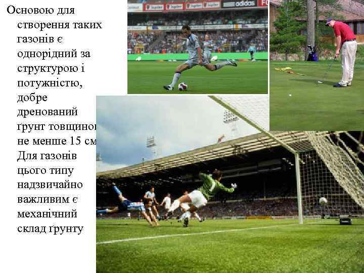 Основою для створення таких газонів є однорідний за структурою і потужністю,  добре дренований