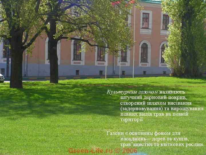 Культурним газоном називають штучний дерновий покрив,  створений шляхом висівання (задерновування) та вирощування певних