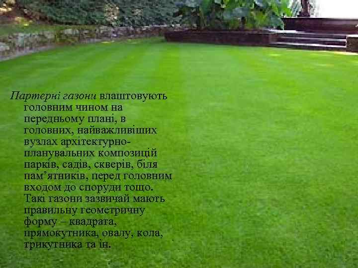 Партерні газони влаштовують  головним чином на  передньому плані, в  головних, найважливіших