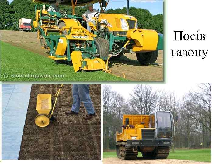 Посів газону 