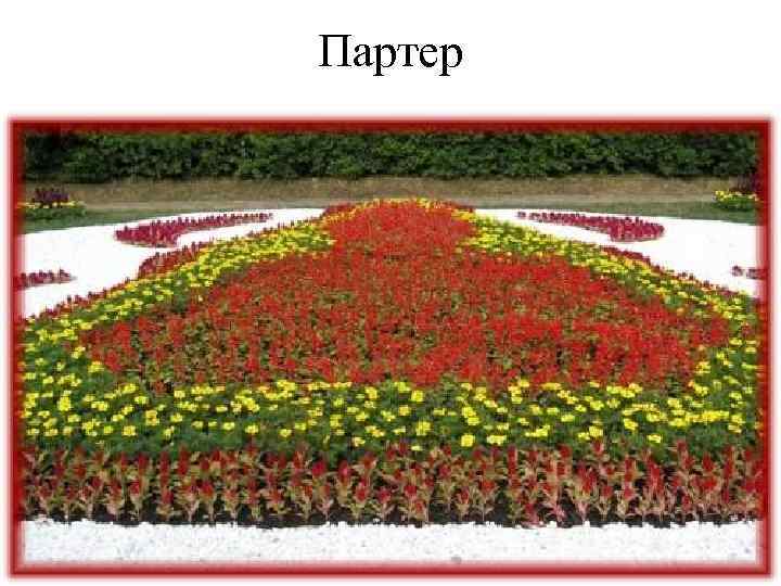 Партер 