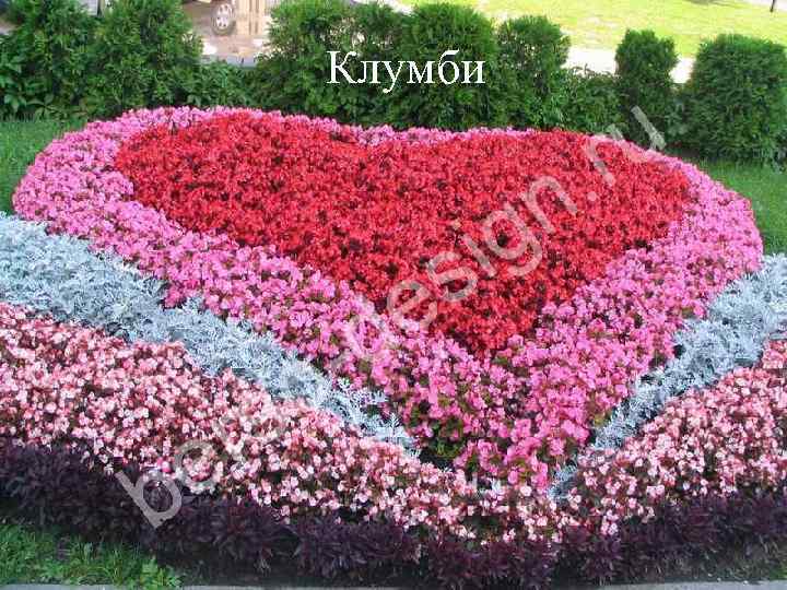 Клумби 