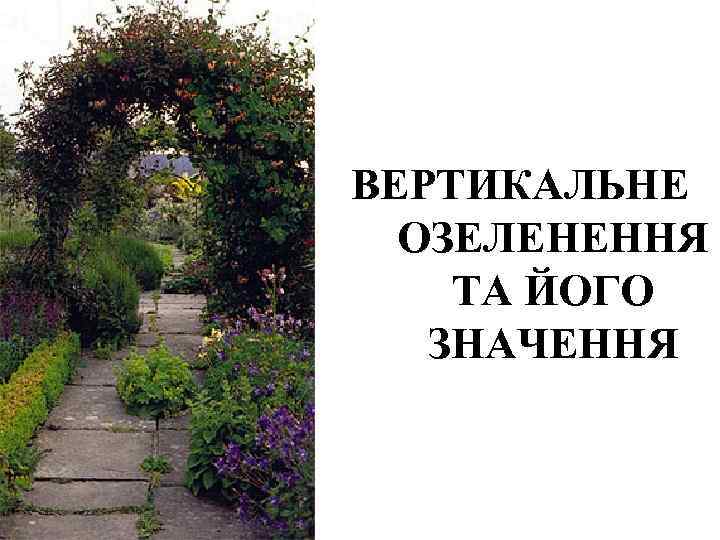 ВЕРТИКАЛЬНЕ  ОЗЕЛЕНЕННЯ ТА ЙОГО  ЗНАЧЕННЯ 