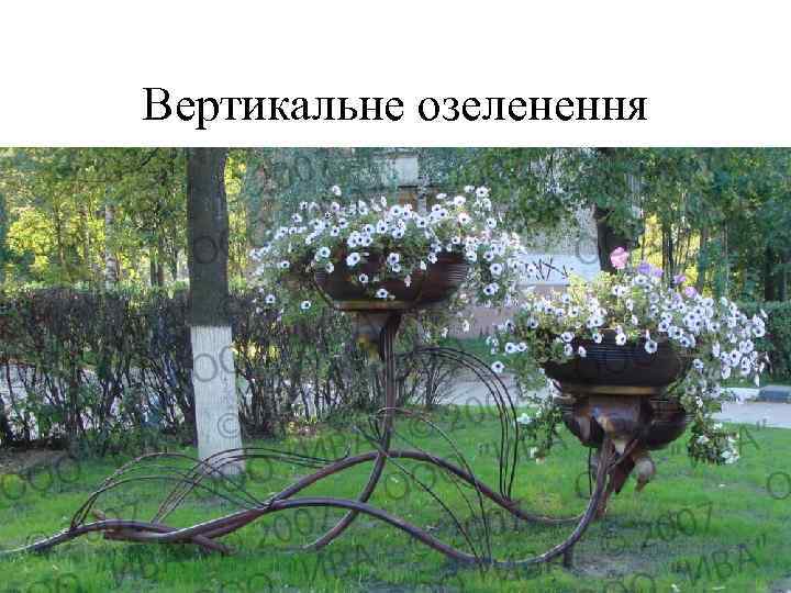 Вертикальне озеленення 