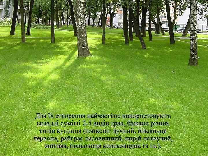 Для їх створення найчастіше використовують складні суміші 2 -5 видів трав, бажано різних 