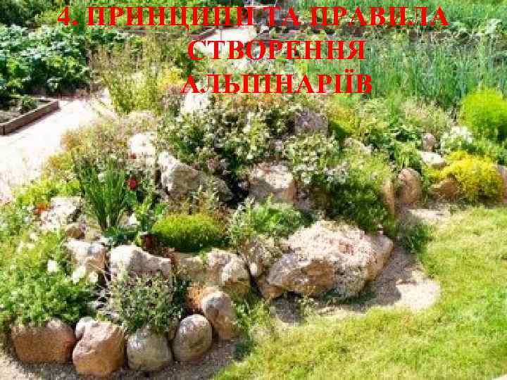 4. ПРИНЦИПИ ТА ПРАВИЛА   СТВОРЕННЯ   АЛЬПІНАРІЇВ 