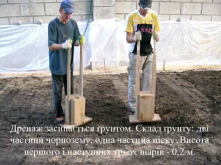 Дренаж засипається ґрунтом. Склад ґрунту: дві частини чорнозему, одна частина піску. Висота  першого