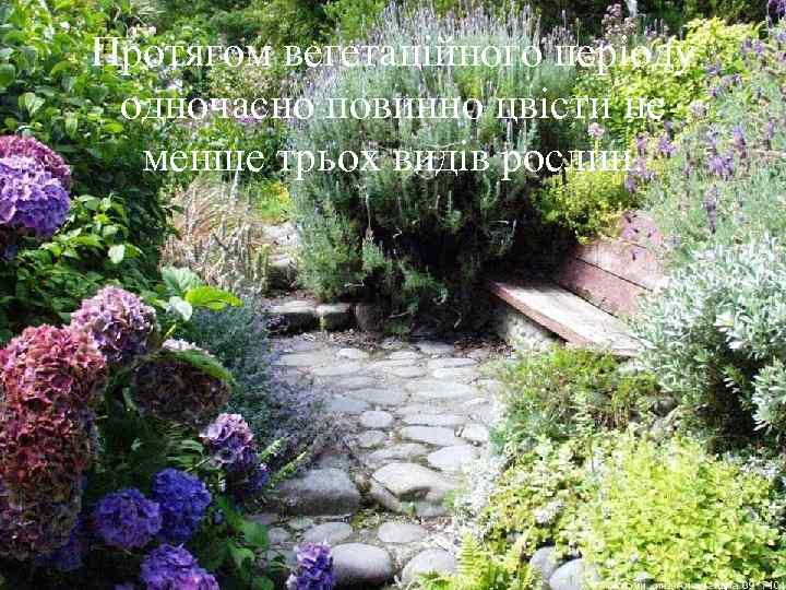 Протягом вегетаційного періоду одночасно повинно цвісти не  менше трьох видів рослин. 