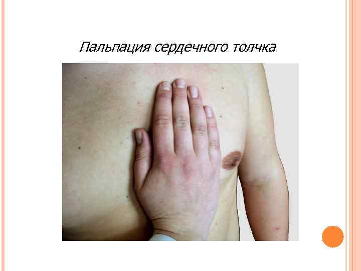 Пальпация сердечного толчка   . 