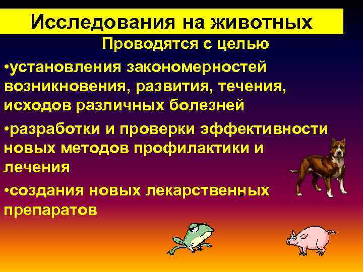   Исследования на животных    Проводятся с целью   