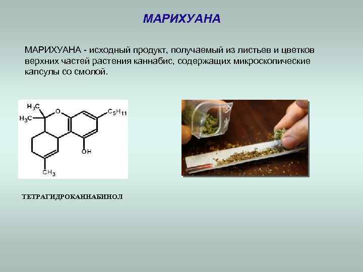     МАРИХУАНА - исходный продукт, получаемый из листьев и цветков верхних