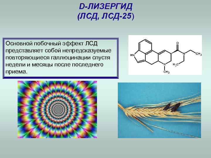     D-ЛИЗЕРГИД    (ЛСД, ЛСД-25)  Основной побочный эффект