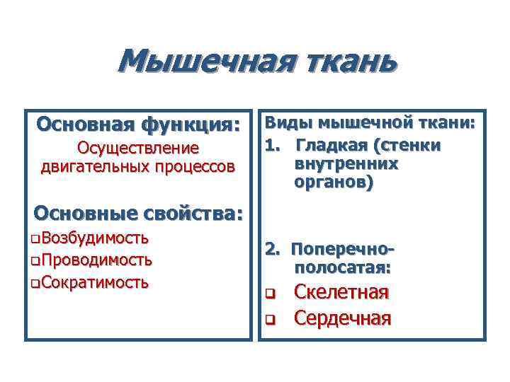 Мышечная ткань Основная функция: Виды мышечной ткани: Осуществление Мышечная ткань Основная функция: Виды мышечной ткани: Осуществление