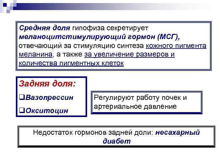 Средняя доля гипофиза секретирует меланоцитстимулирующий гормон (МСГ),  отвечающий за стимуляцию синтеза кожного пигмента