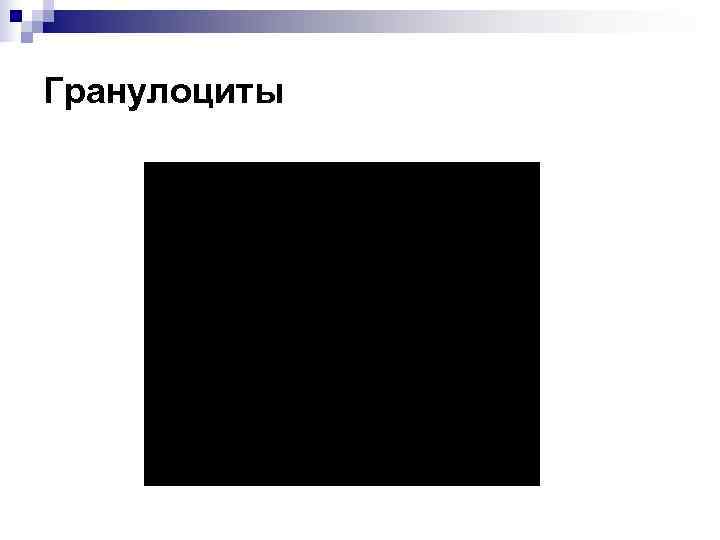 Гранулоциты 