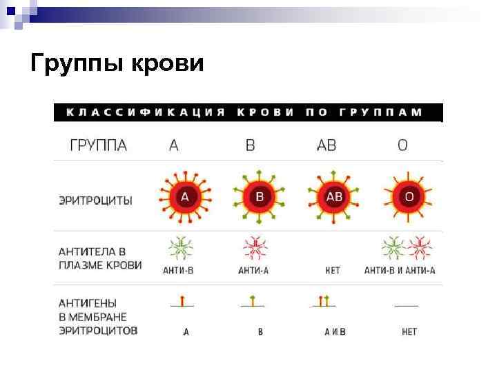 Группы крови 