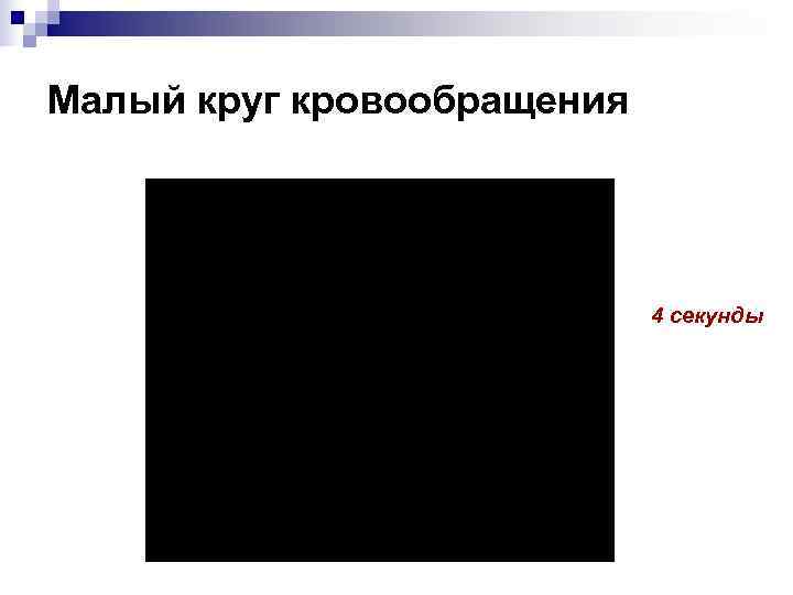 Малый круг кровообращения       4 секунды 