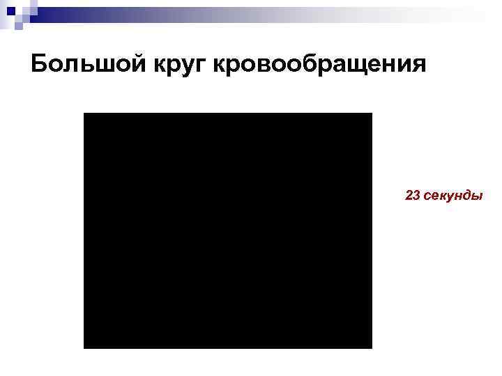 Большой круг кровообращения     23 секунды 