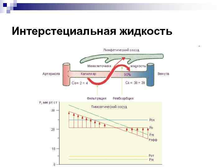 Интерстециальная жидкость 