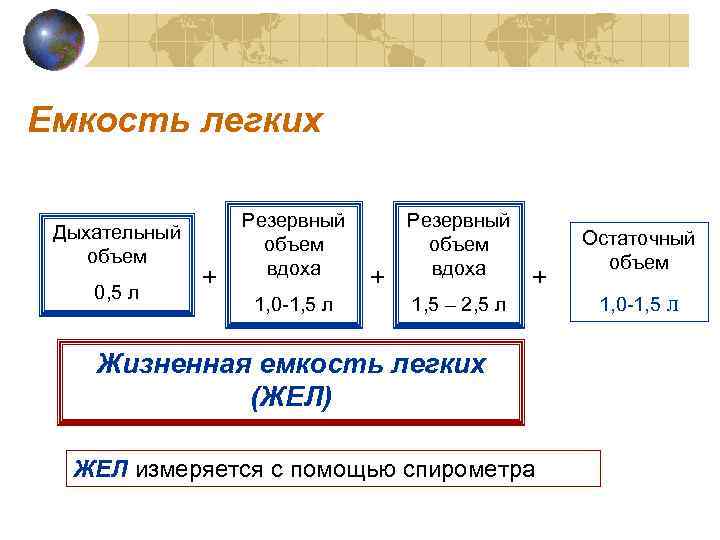 Емкость легких     Резервный Дыхательный      