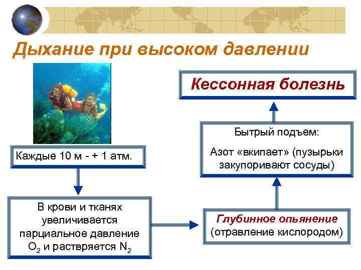 Дыхание при высоком давлении     Кессонная болезнь    