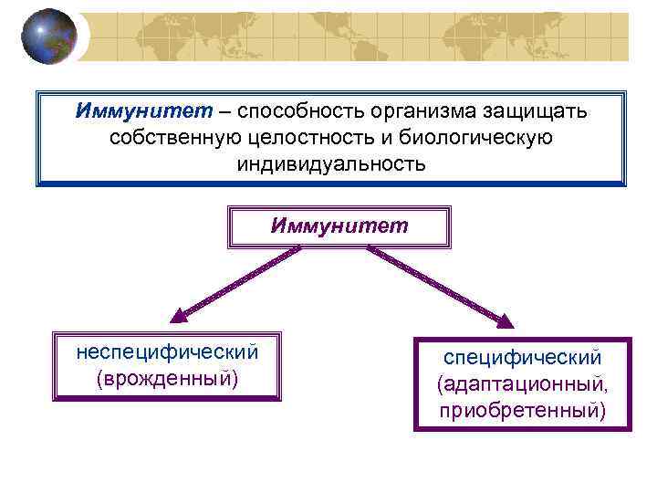 Индивид биологический организм