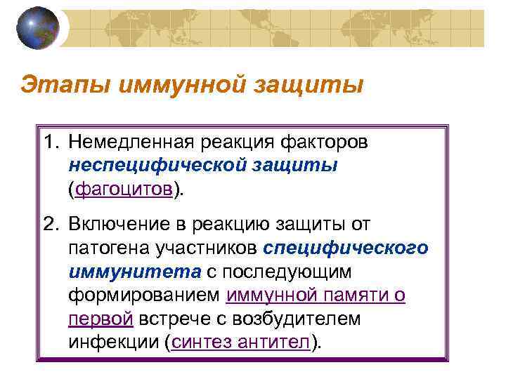 Этапы иммунной защиты  1. Немедленная реакция факторов неспецифической защиты (фагоцитов).  2. Включение