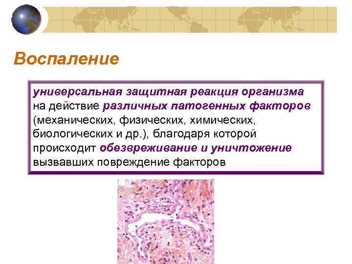 Воспаление универсальная защитная реакция организма на действие различных патогенных факторов (механических, физических, химических, 