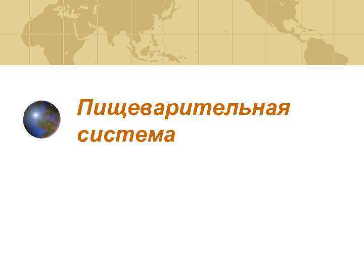 Пищеварительная система 