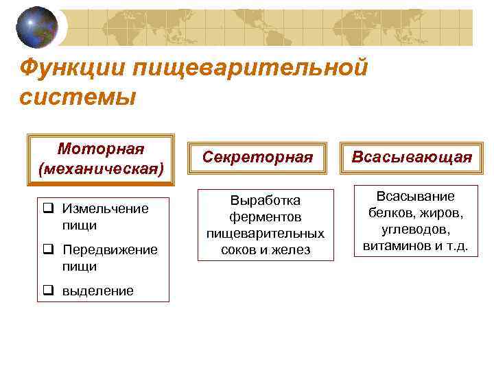 Функции пищеварительной системы. Функции пищеварительной системы моторная механическая. Функции пищеварительной системы таблица секреторная. Функции пищеварительной системы моторная секреторная всасывающая. Функции пищеварительной системы человека таблица секреторная.