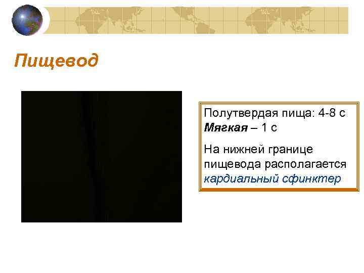 Пищевод  Полутвердая пища: 4 -8 с  Мягкая – 1 с  На