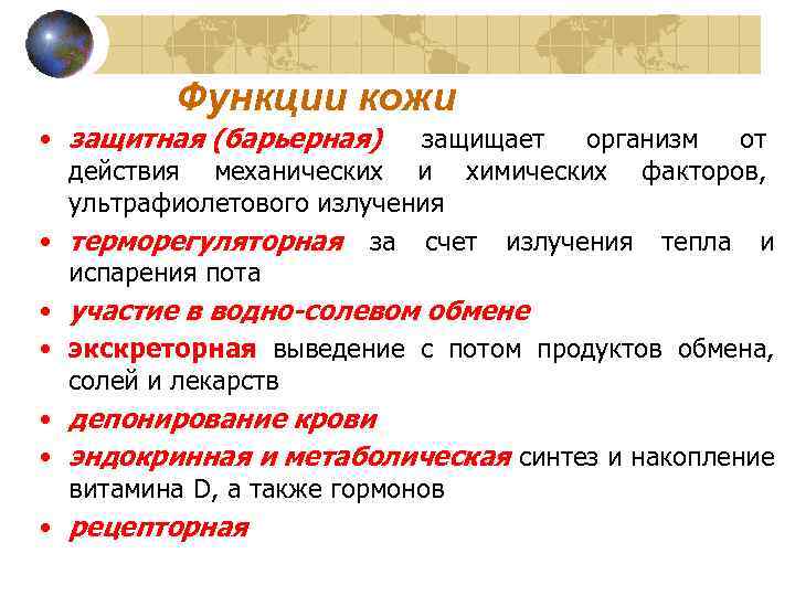    Функции кожи • защитная (барьерная) защищает организм от  действия механических
