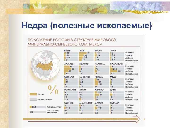 Недра (полезные ископаемые) 