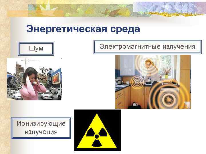  Энергетическая среда  Шум   Электромагнитные излучения Ионизирующие  излучения 