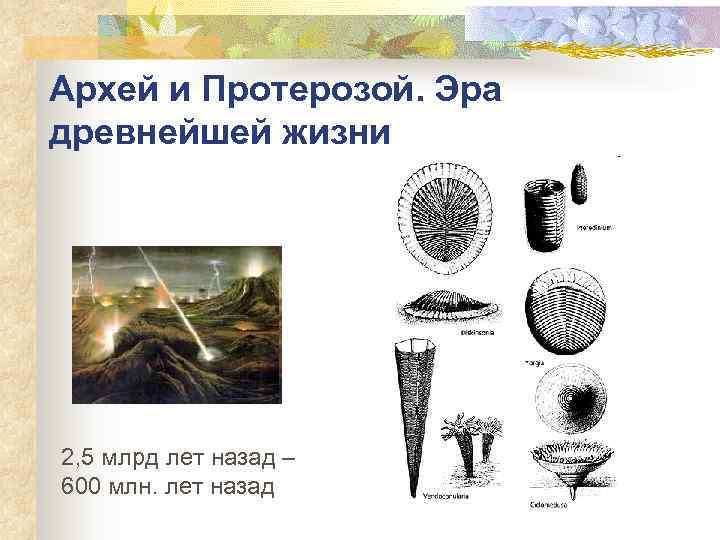 Архей и Протерозой. Эра древнейшей жизни 2, 5 млрд лет назад – 600 млн.