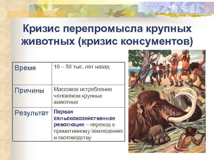  Кризис перепромысла крупных животных (кризис консументов) Время  10 – 50 тыс. лет