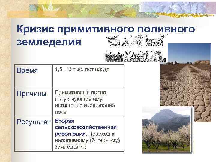 Кризис примитивного поливного земледелия Время  1, 5 – 2 тыс. лет назад 