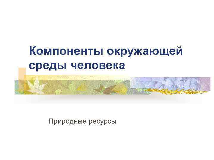 Компоненты окружающей среды человека Природные ресурсы 