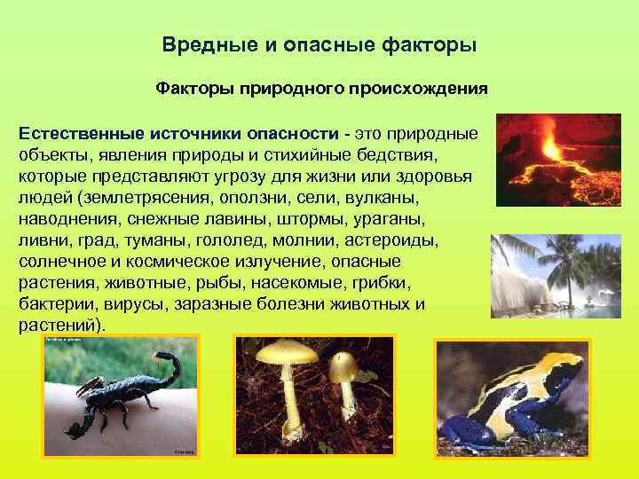 Вредные и опасные факторы Факторы природного происхождения Вредные и опасные факторы Факторы природного происхождения