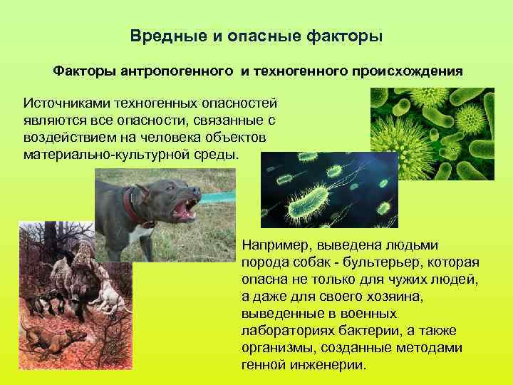 Вредные и опасные факторы Факторы антропогенного и техногенного происхождения Источниками техногенных Вредные и опасные факторы Факторы антропогенного и техногенного происхождения Источниками техногенных