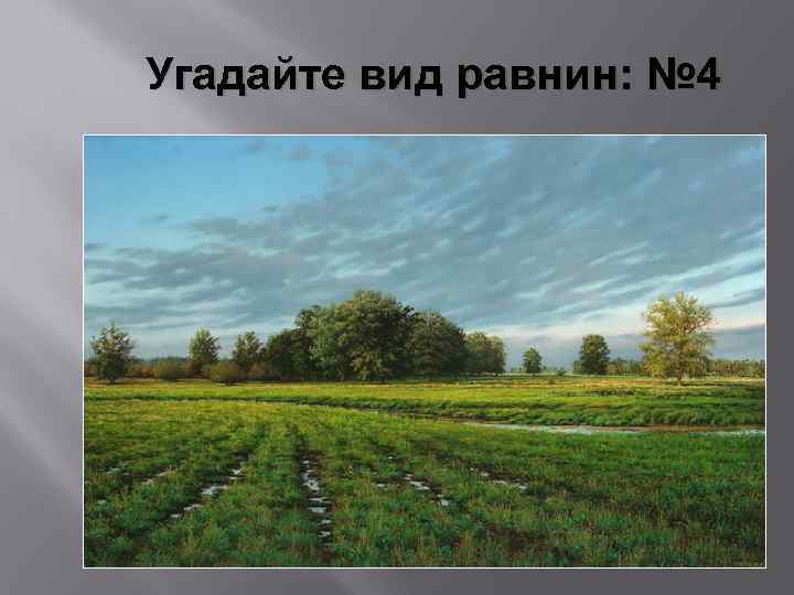 Угадайте вид равнин: № 4 