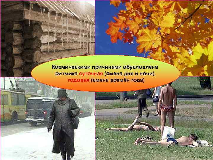 Космическими причинами обусловлена ритмика суточная (смена дня и ночи),  годовая (смена времён года)