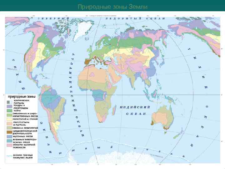 Природные зоны Земли 