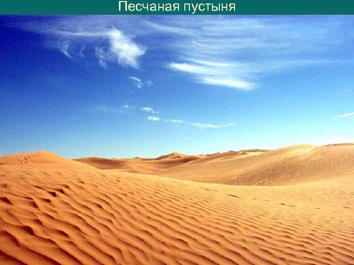 Песчаная пустыня 